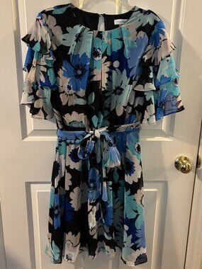 Calvin Klein Women's Chiffon Ruffle Sleeve Floral Print Dress with Belt ~ 14